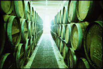 Inside a distillery