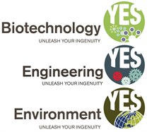 Biotechnology YES, Engineering YES and Environment YES